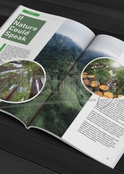 20 Page InDesign Magazine Template