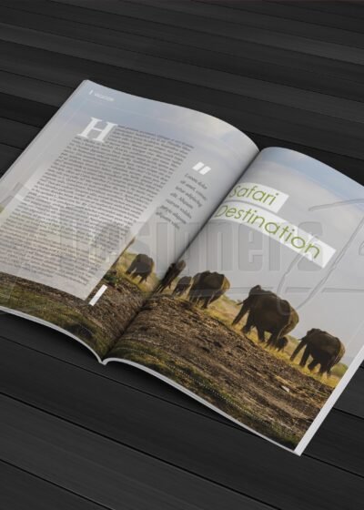 60 PAGE INDESIGN MAGAZINE TEMPLATE