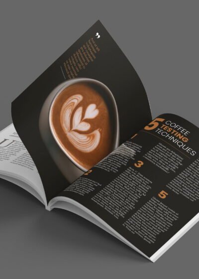 Fashion or Lifestyle Magazine Template For InDesign