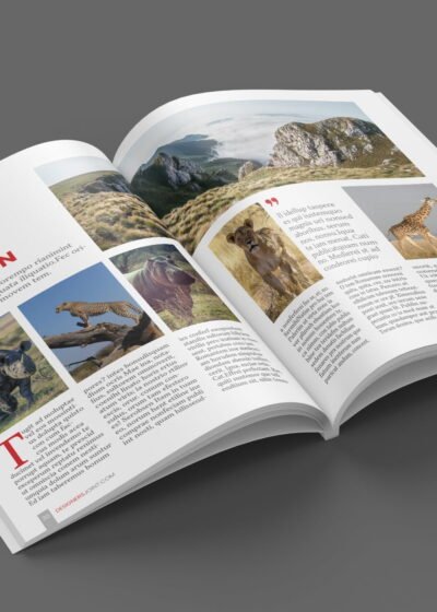 Fashion or Lifestyle Magazine Template For InDesign