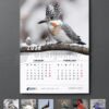 2026 Wall Calendar - Time Trek