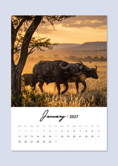 2027 Wall Calendar Template - Linear Stream Layout